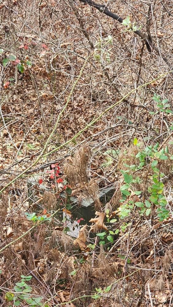 Underground Electricity available at the edge of property - 00 SATINWOOD Drive, Waynesville
