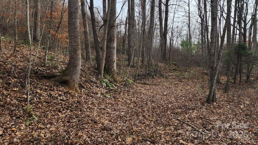 Lot at 00 SATINWOOD Drive, Waynesville, photo 21 of 33