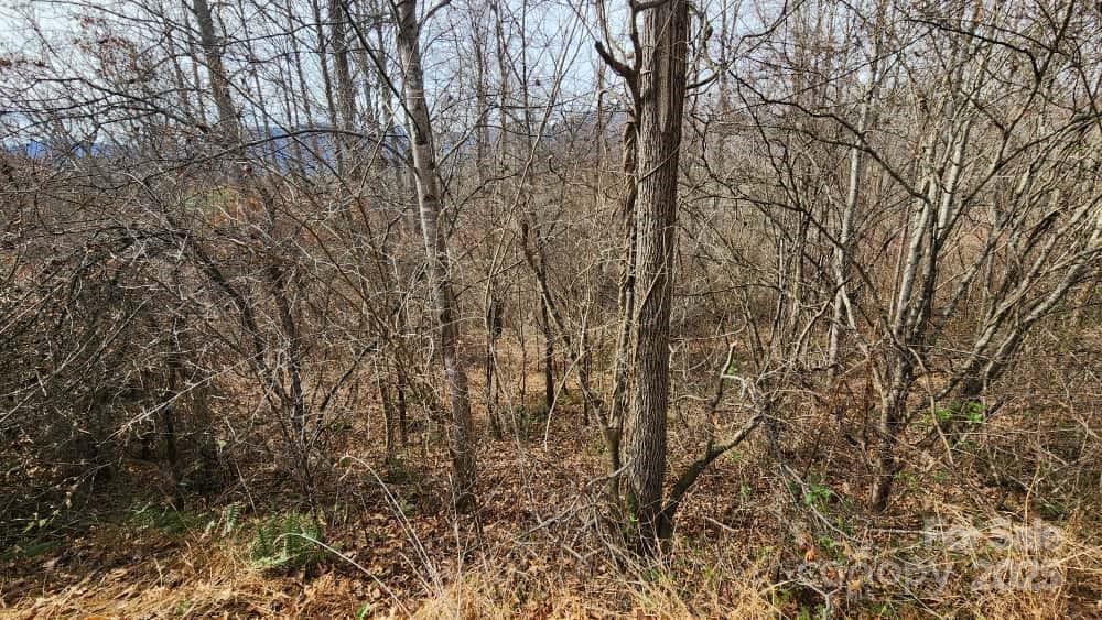 Lot at 00 SATINWOOD Drive, Waynesville, photo 22 of 33