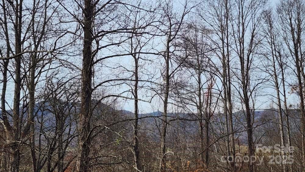 Lot at 00 SATINWOOD Drive, Waynesville, photo 23 of 33