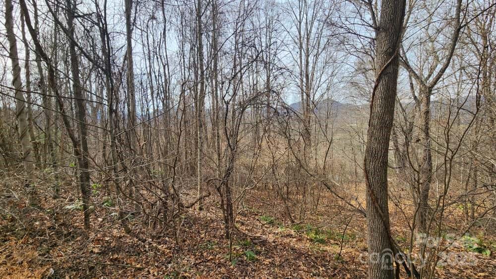 Lot at 00 SATINWOOD Drive, Waynesville, photo 24 of 33