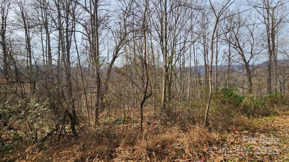 Lot at 00 SATINWOOD Drive, Waynesville, photo 25 of 33