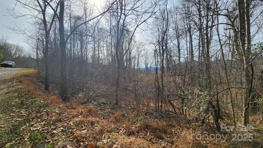 Lot at 00 SATINWOOD Drive, Waynesville, photo 27 of 33