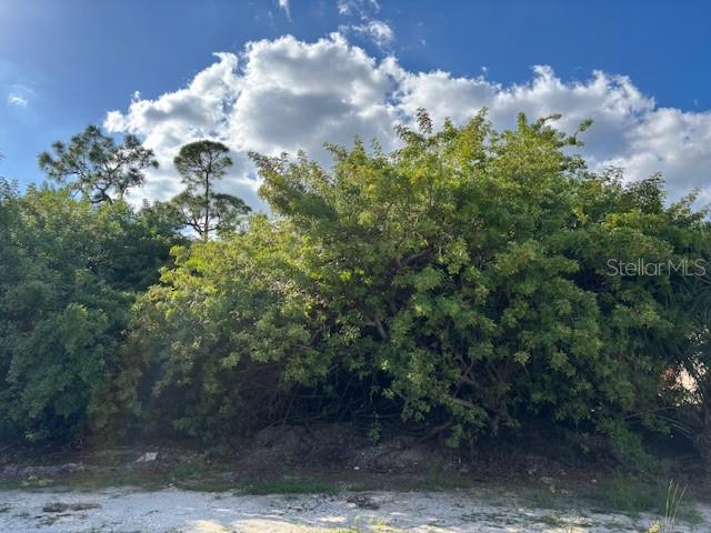 Land at 4363 BOGGS ST, PORT CHARLOTTE, photo 2 of 3