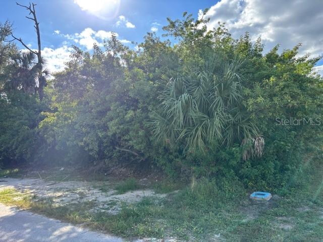 Land at 4363 BOGGS ST, PORT CHARLOTTE, photo 3 of 3