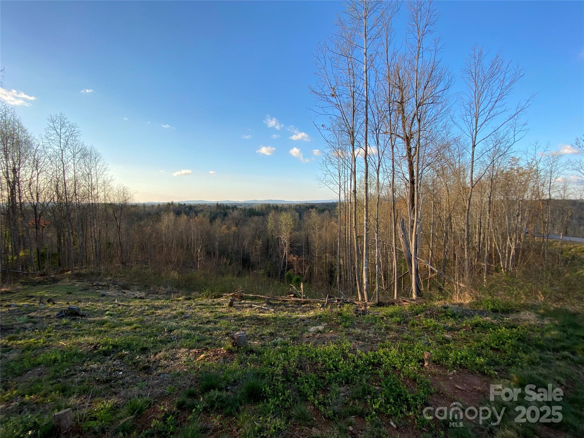 Lot at 1030 River Club Ridge, Lenoir, photo 4 of 46