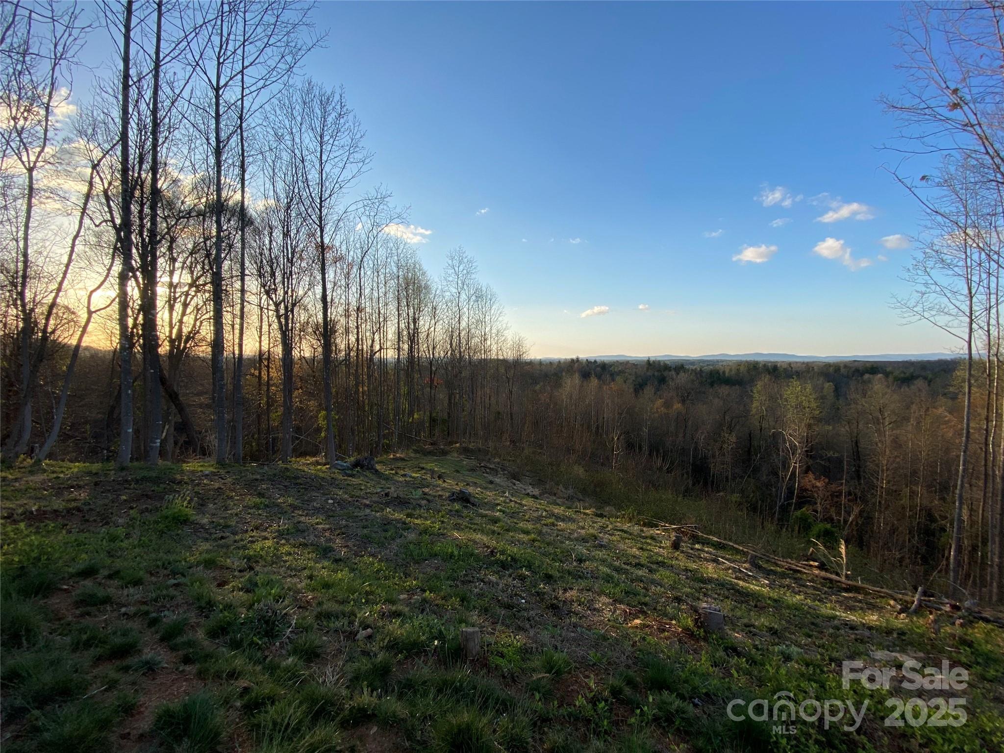 Lot at 1030 River Club Ridge, Lenoir, photo 5 of 46