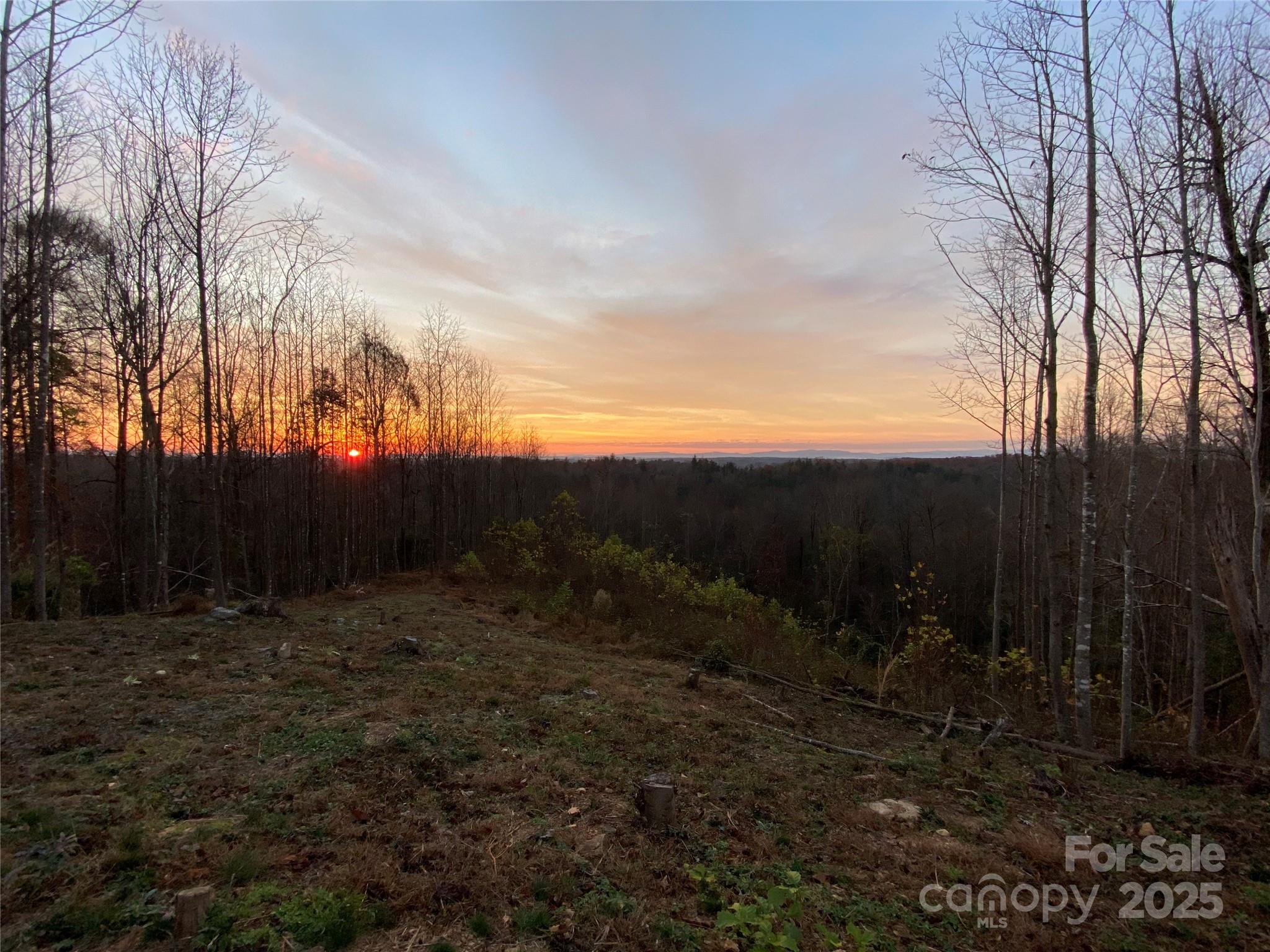 Lot at 1030 River Club Ridge, Lenoir, photo 6 of 46
