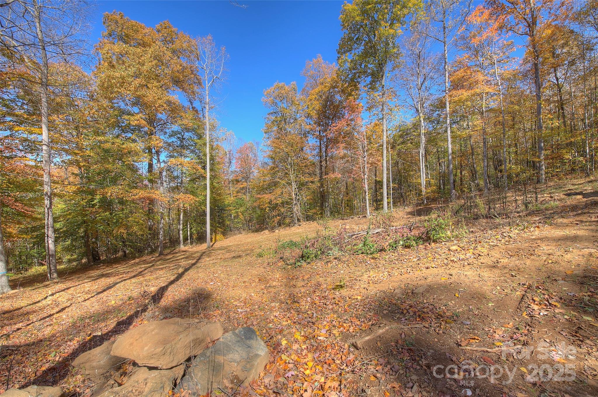 Lot at 0 Pebble Ridge Road, Spruce Pine, photo 4 of 26