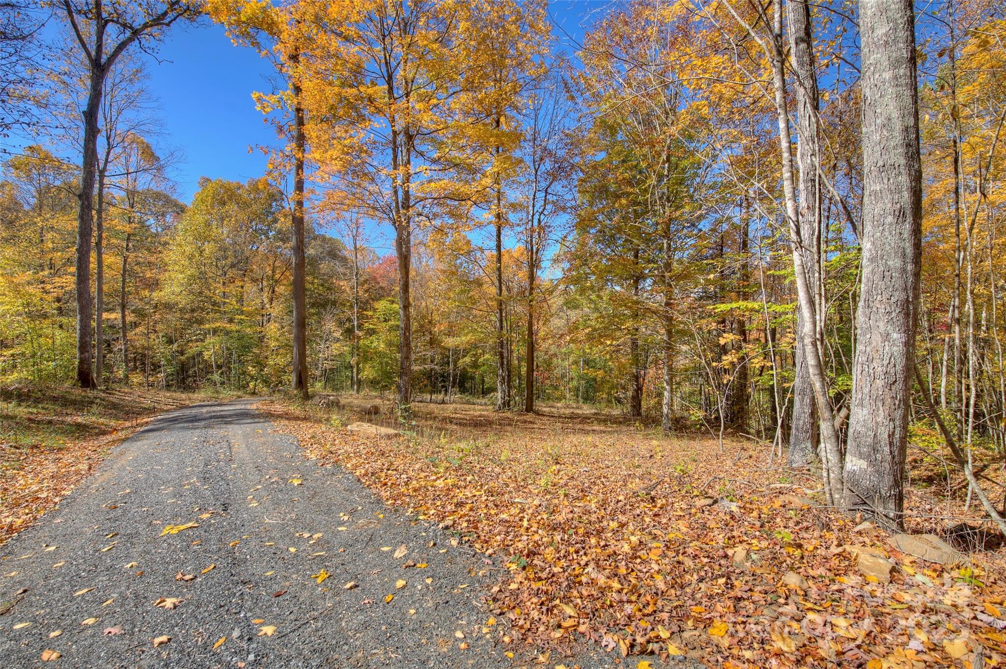 Lot at 0 Pebble Ridge Road, Spruce Pine, photo 8 of 26