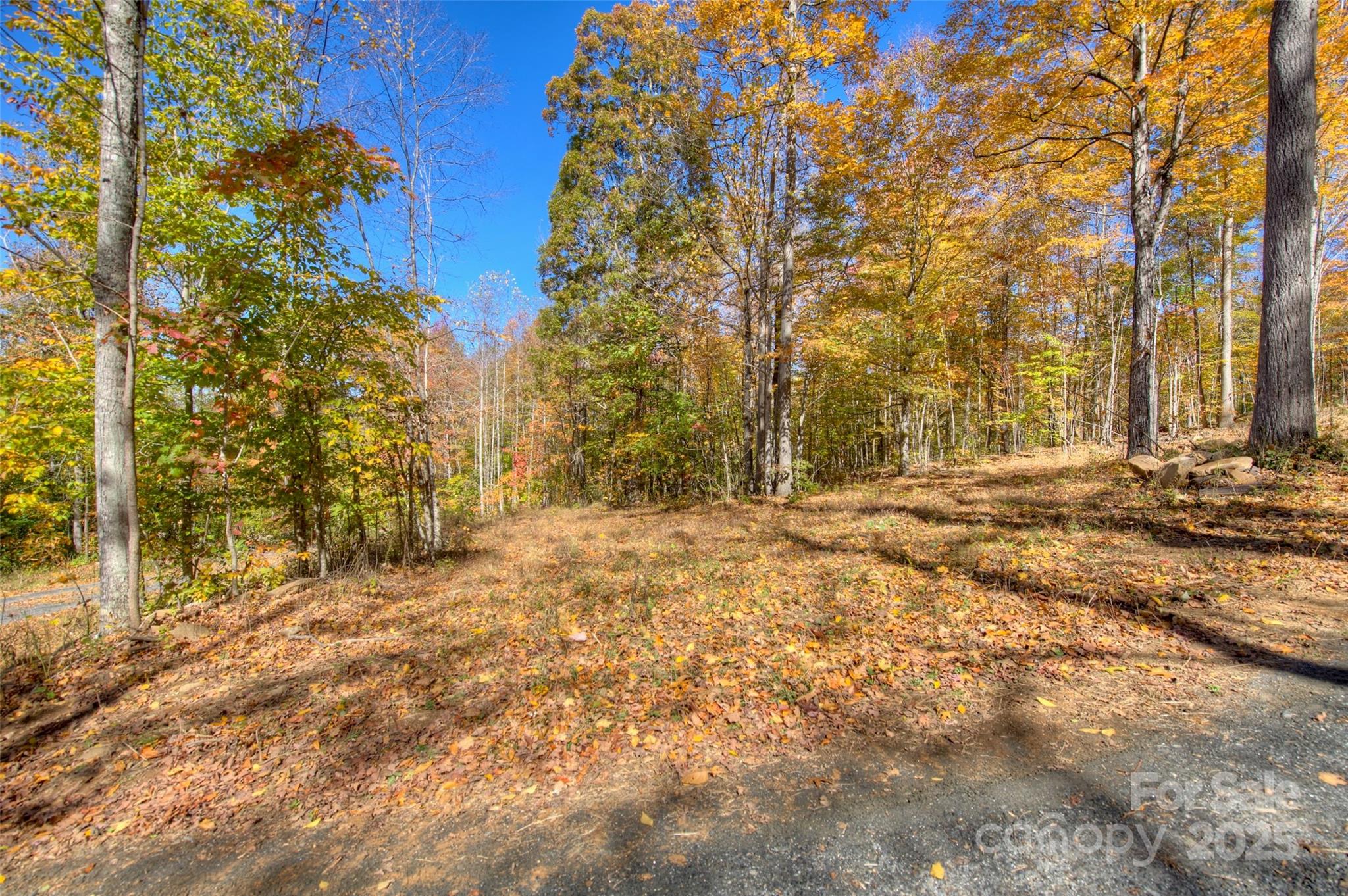 Lot at 0 Pebble Ridge Road, Spruce Pine, photo 9 of 26