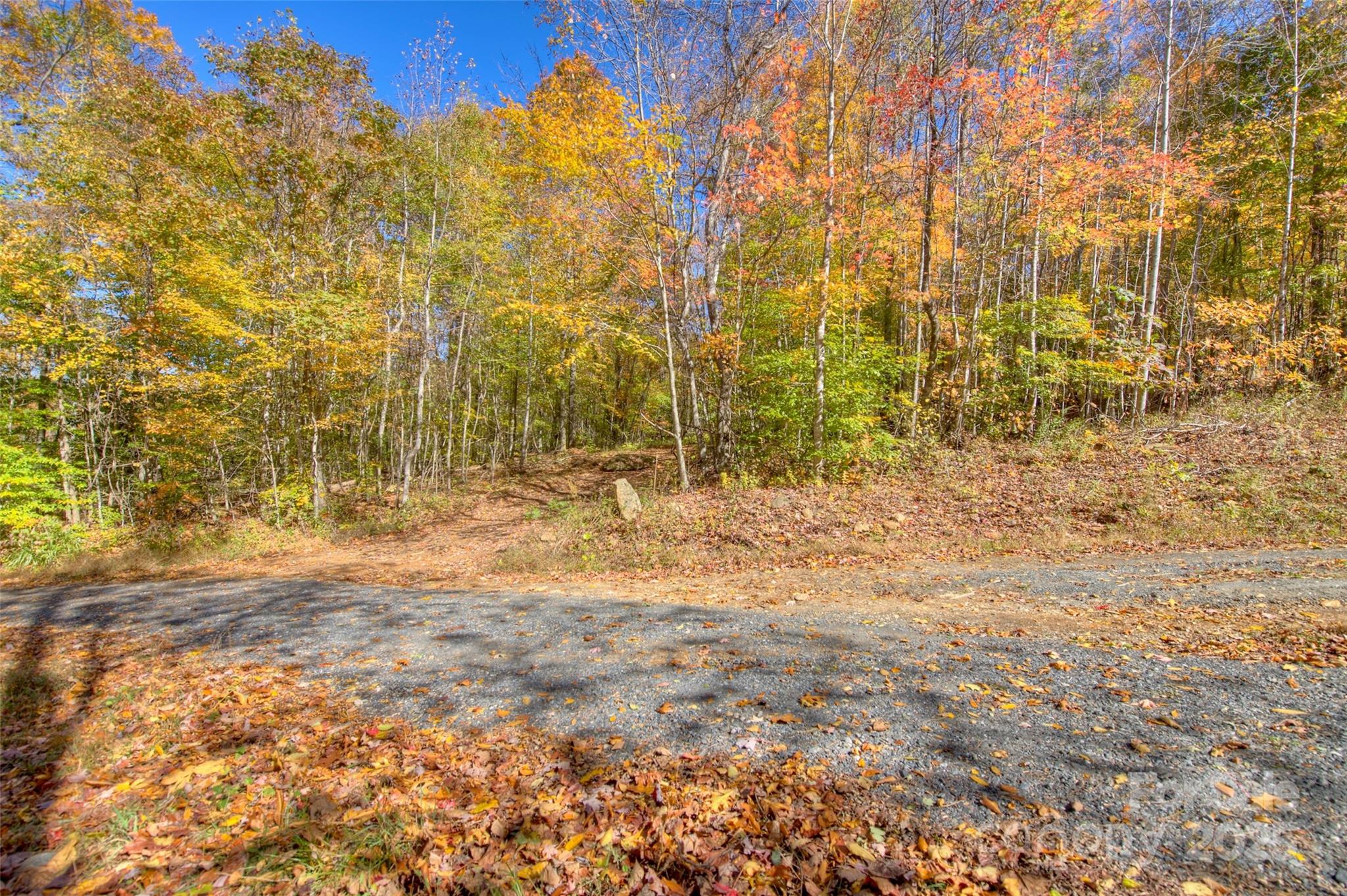Lot at 0 Pebble Ridge Road, Spruce Pine, photo 11 of 26