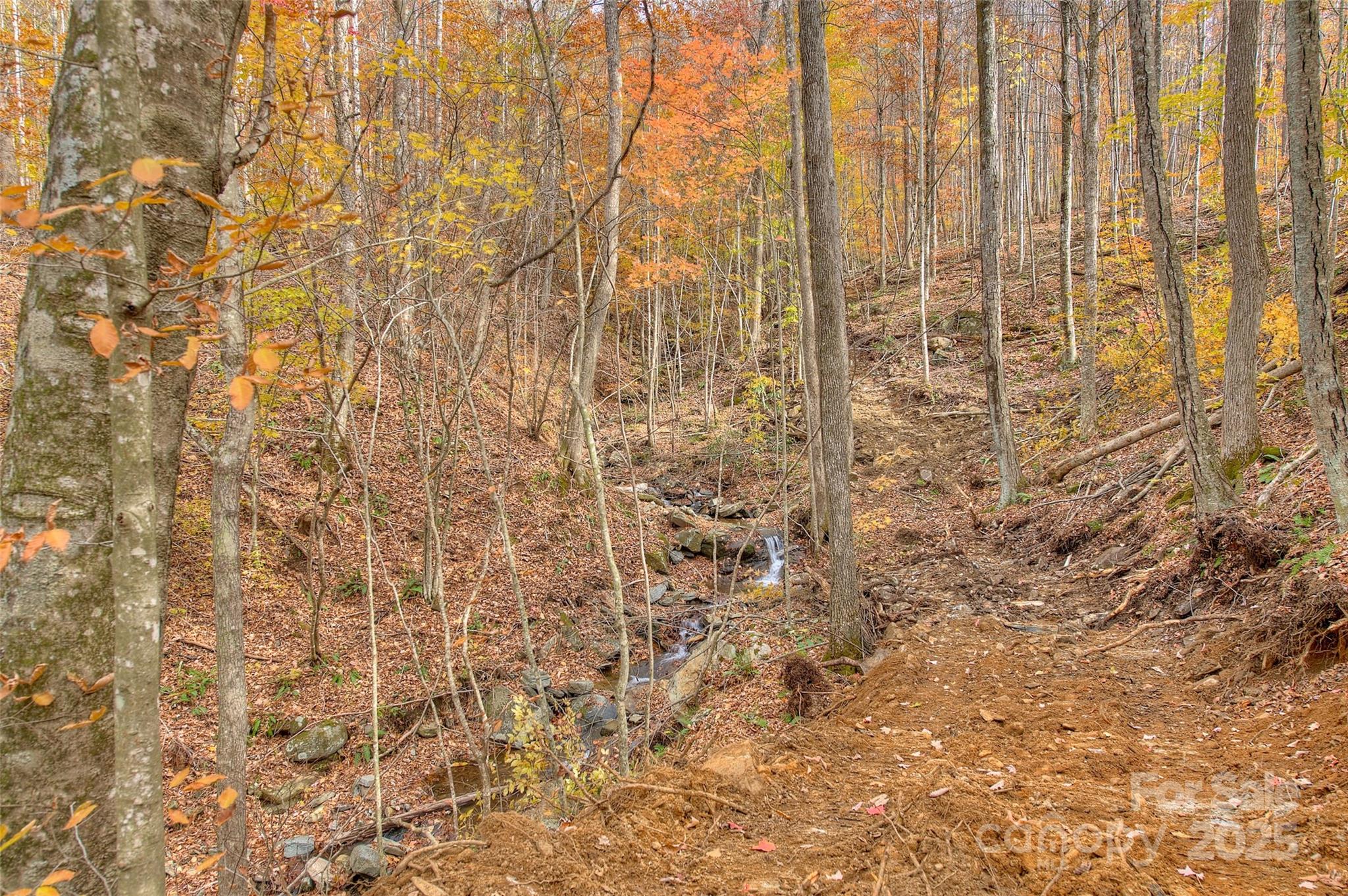 Lot at 0 Pebble Ridge Road, Spruce Pine, photo 18 of 26