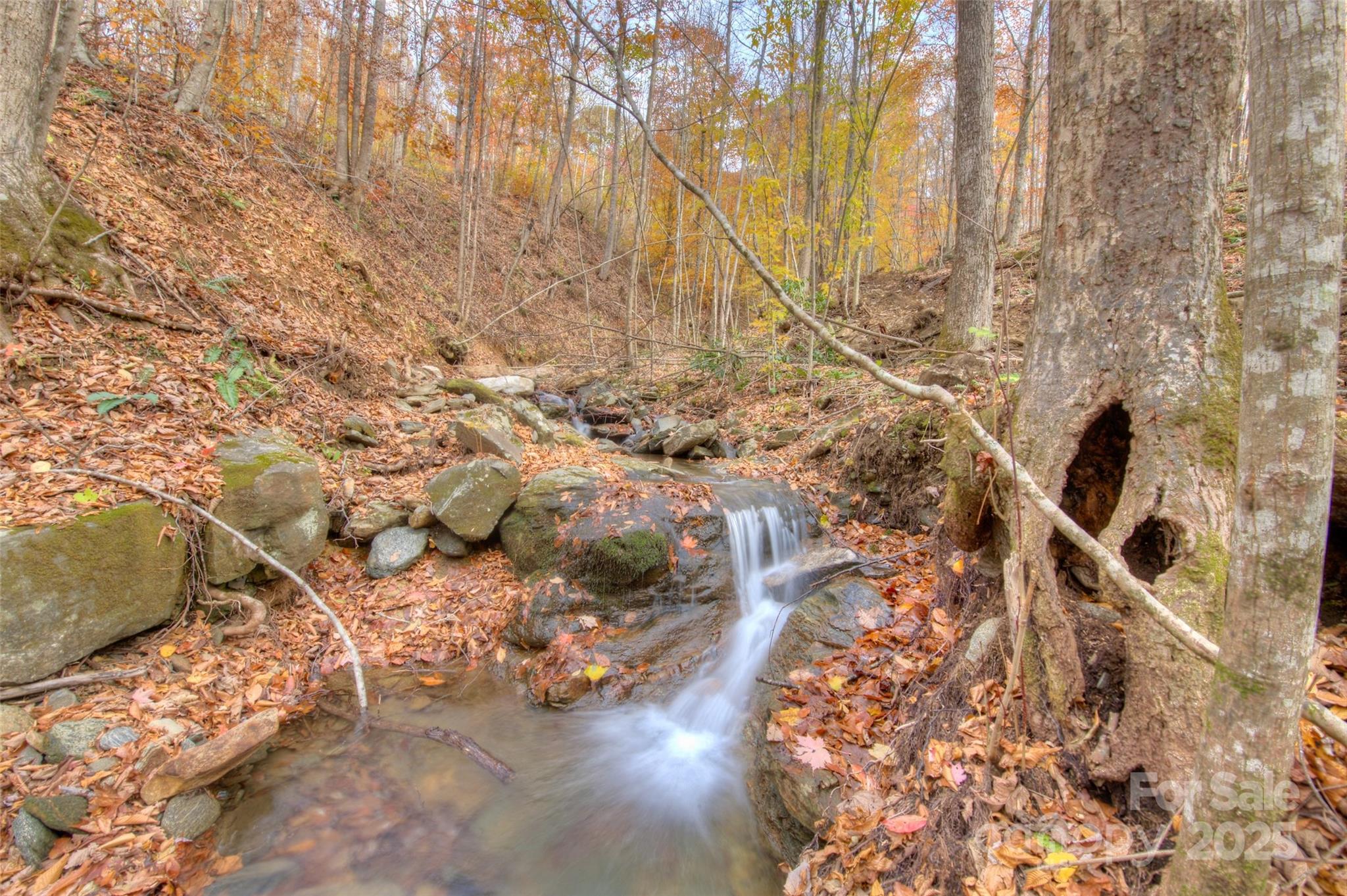 Lot at 0 Pebble Ridge Road, Spruce Pine, photo 19 of 26