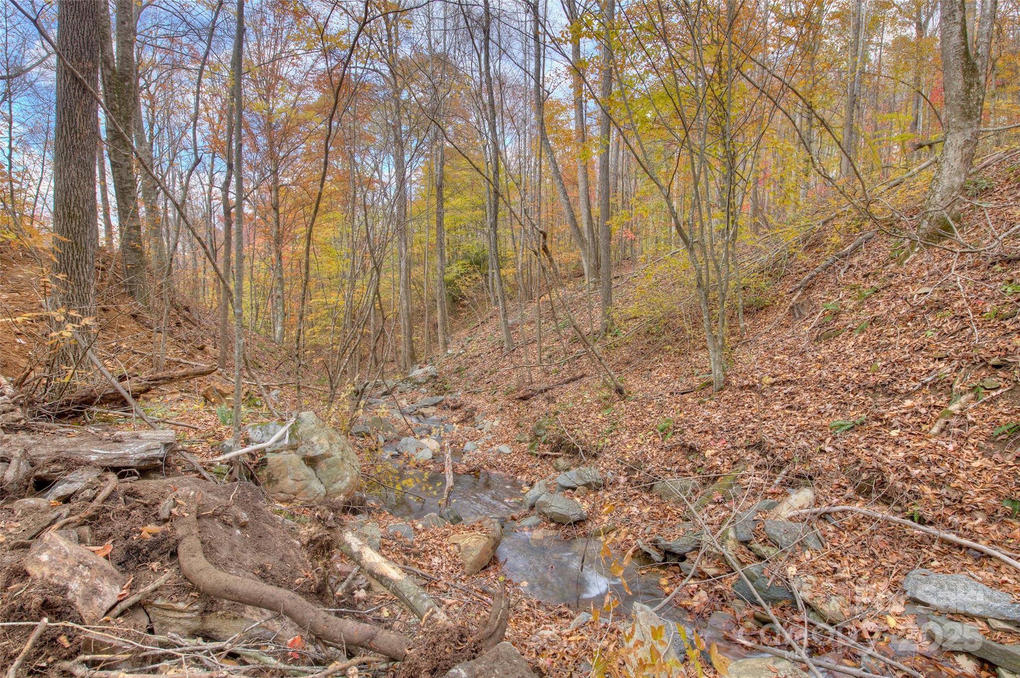 Lot at 0 Pebble Ridge Road, Spruce Pine, photo 20 of 26