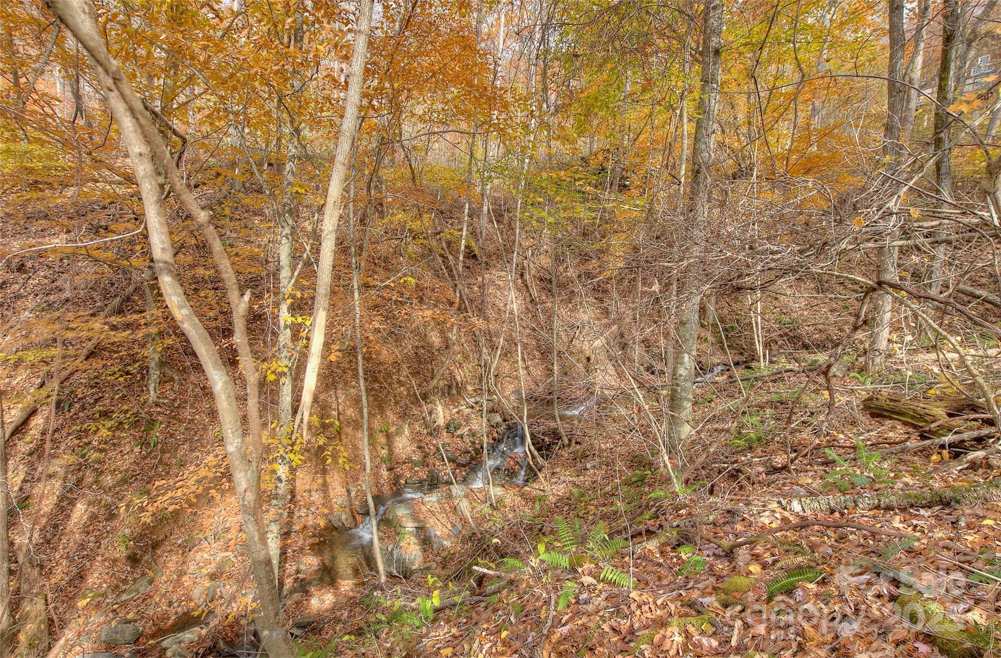 Lot at 0 Pebble Ridge Road, Spruce Pine, photo 21 of 26