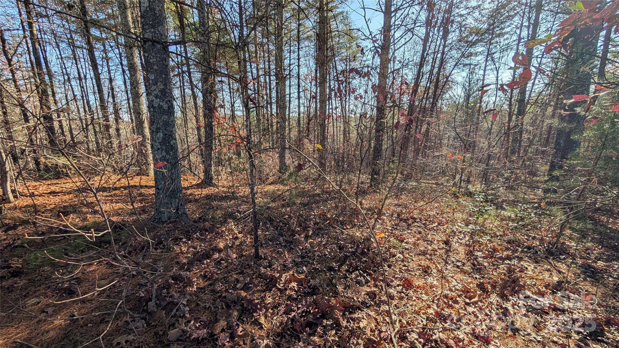 Acreage at 1111 Table View Drive, Morganton, photo 3 of 6