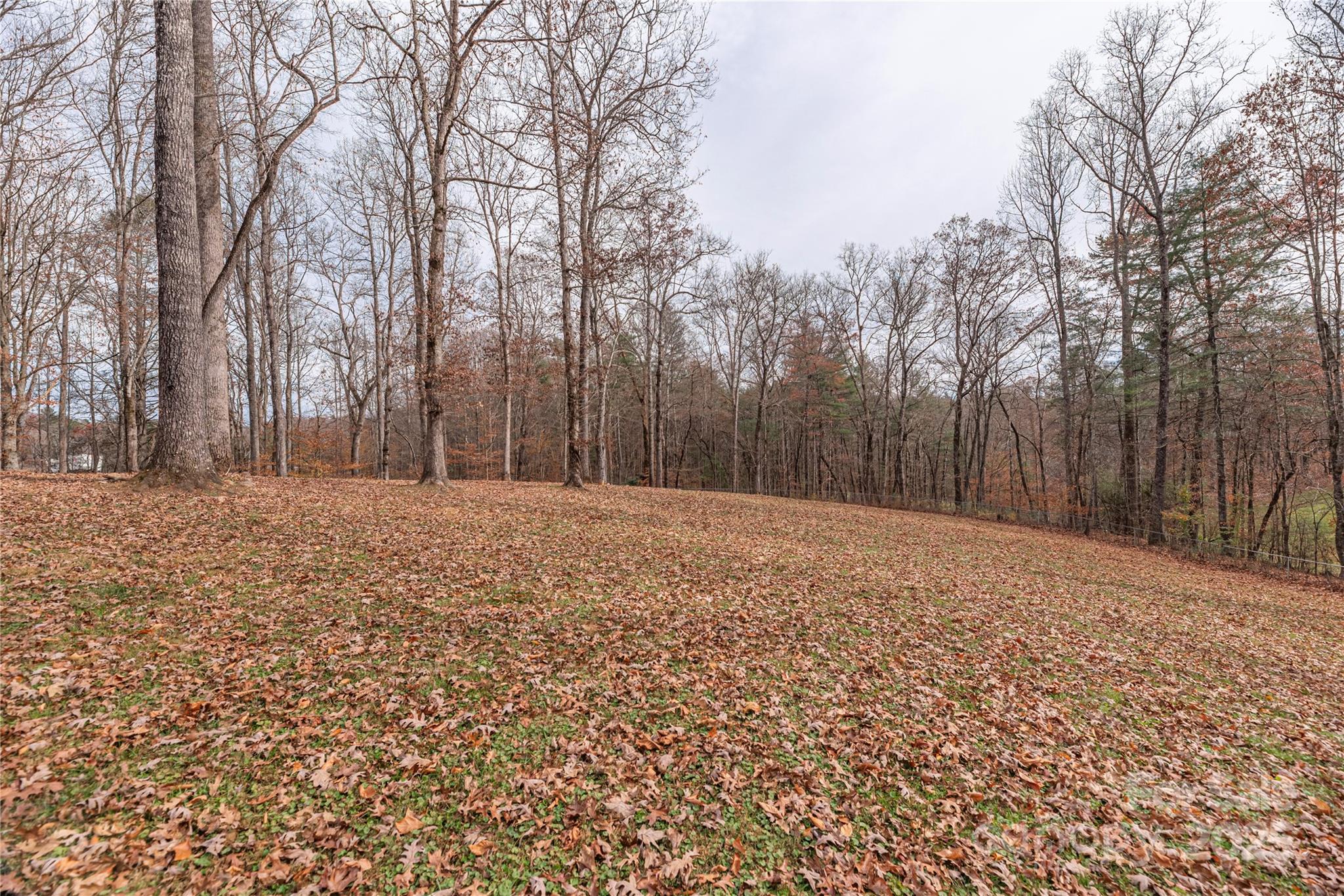 Single Family Residence at 236 Pole Miller Extension, Brevard, photo 32 of 38