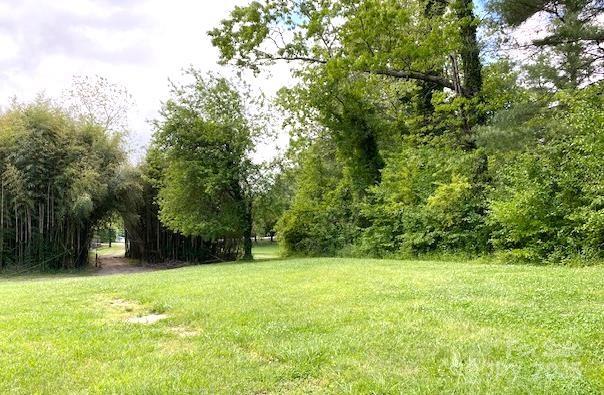 Lot at 99999 Brevard Road, Hendersonville, photo 2 of 4
