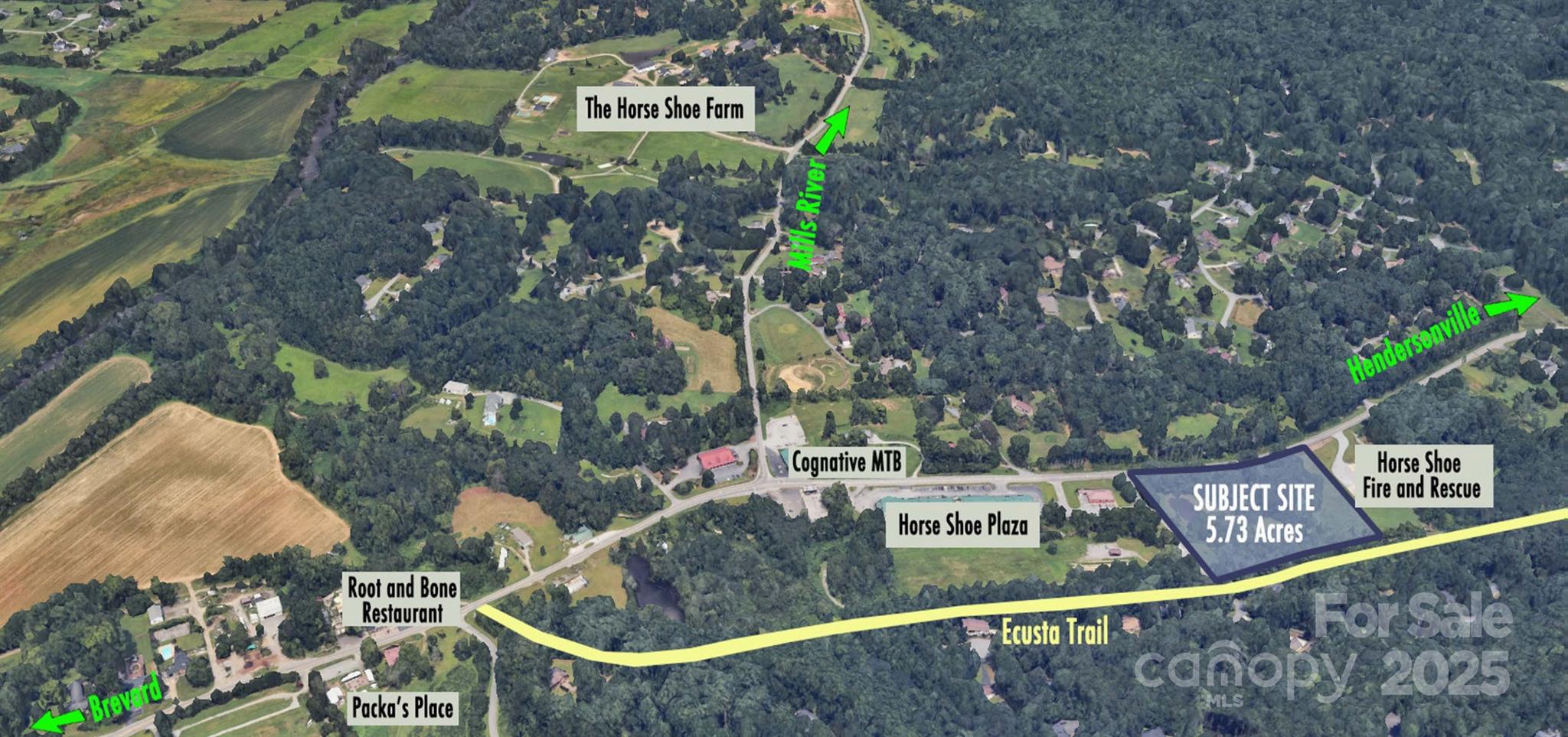 Aerial View of Subject Property and Surrounding Area - 99999 Brevard Road, Hendersonville
