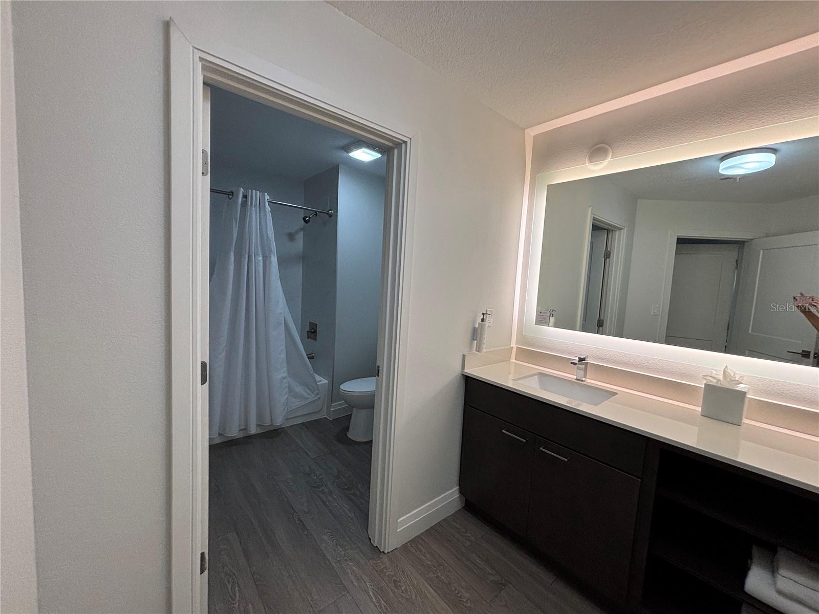 Condo - Hotel at 14501 GROVE RESORT AVE #3304, WINTER GARDEN, photo 11 of 34
