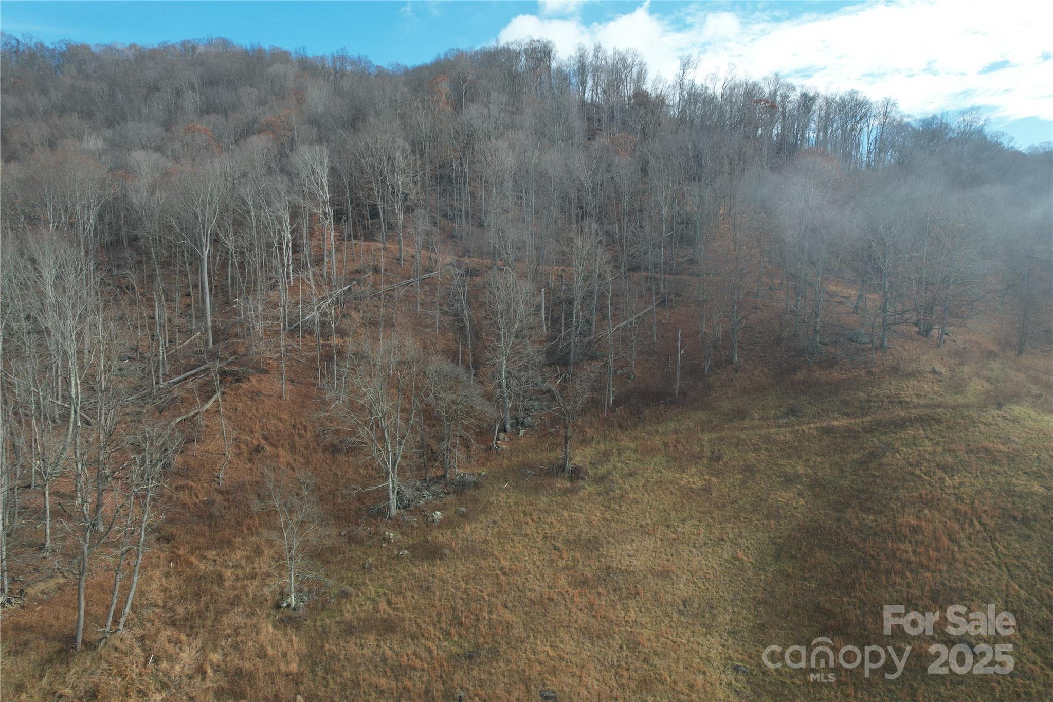 Acreage at 385 Fork Mountain Road, Bakersville, photo 11 of 21