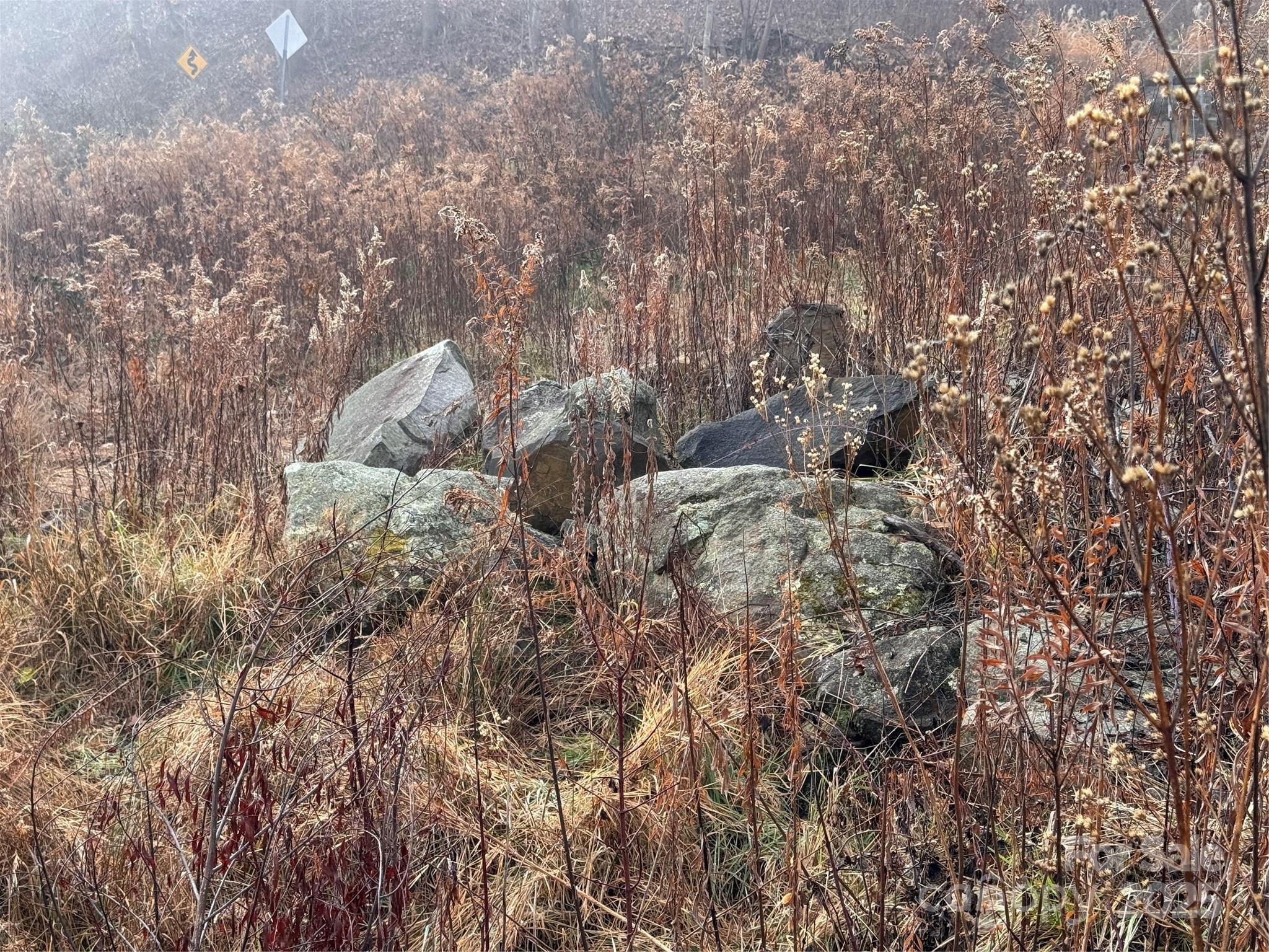 Acreage at 385 Fork Mountain Road, Bakersville, photo 16 of 21