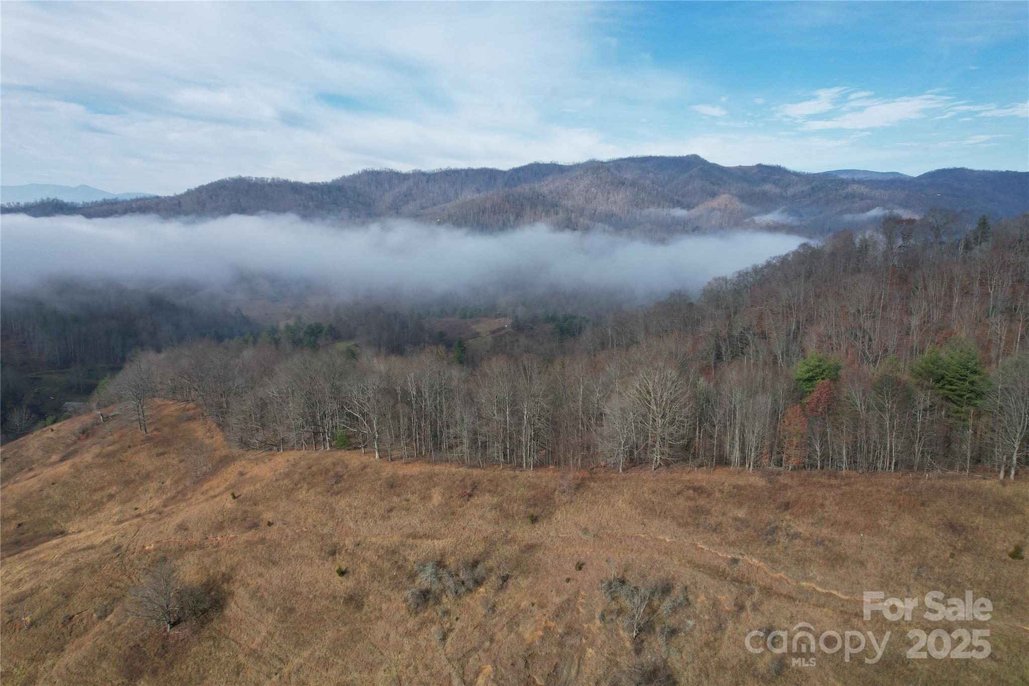 Acreage at 385 Fork Mountain Road, Bakersville, photo 19 of 21
