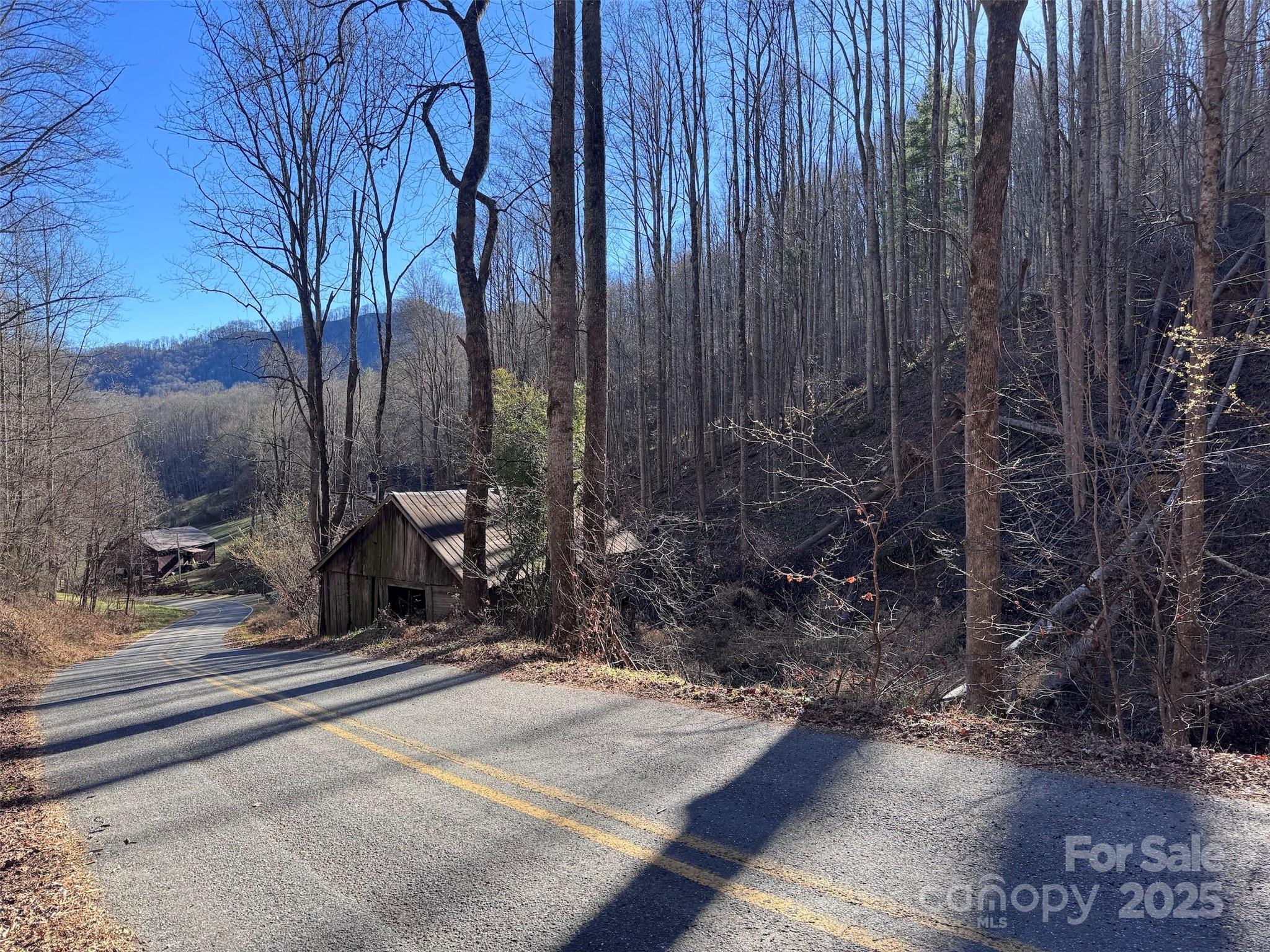 Acreage at 15 +/- Acres Riddle Branch Road, Burnsville, photo 2 of 38