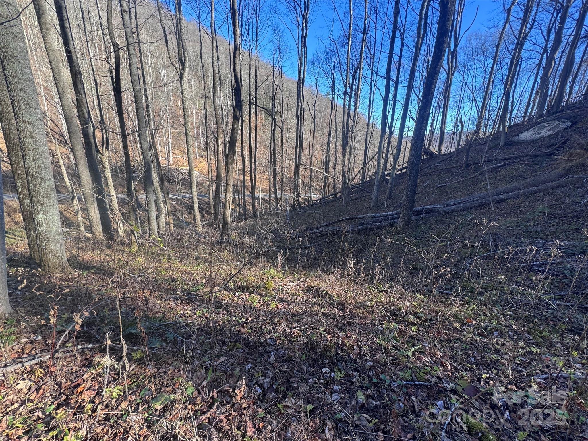 Acreage at 15 +/- Acres Riddle Branch Road, Burnsville, photo 9 of 38