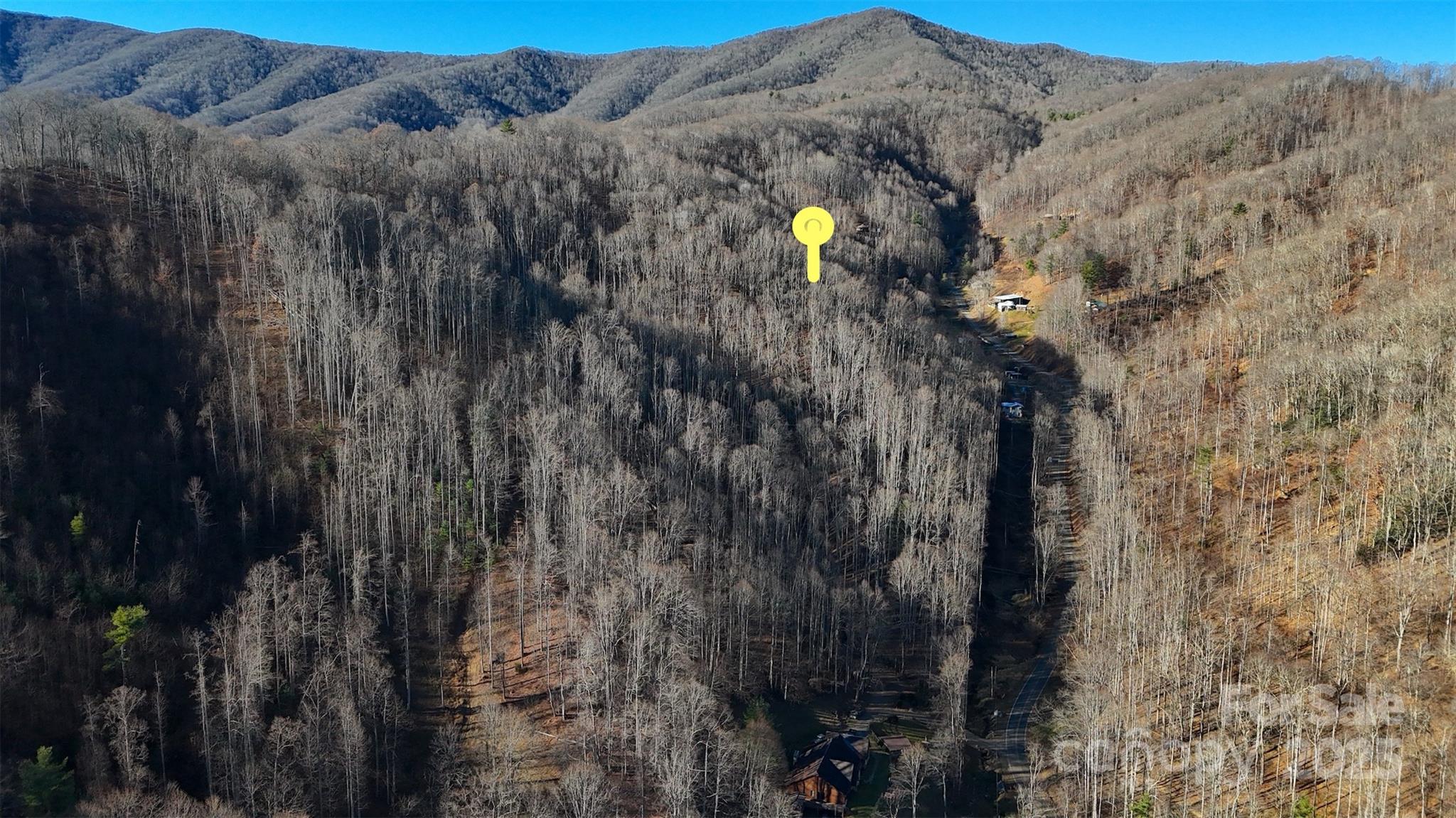 Acreage at 15 +/- Acres Riddle Branch Road, Burnsville, photo 13 of 38