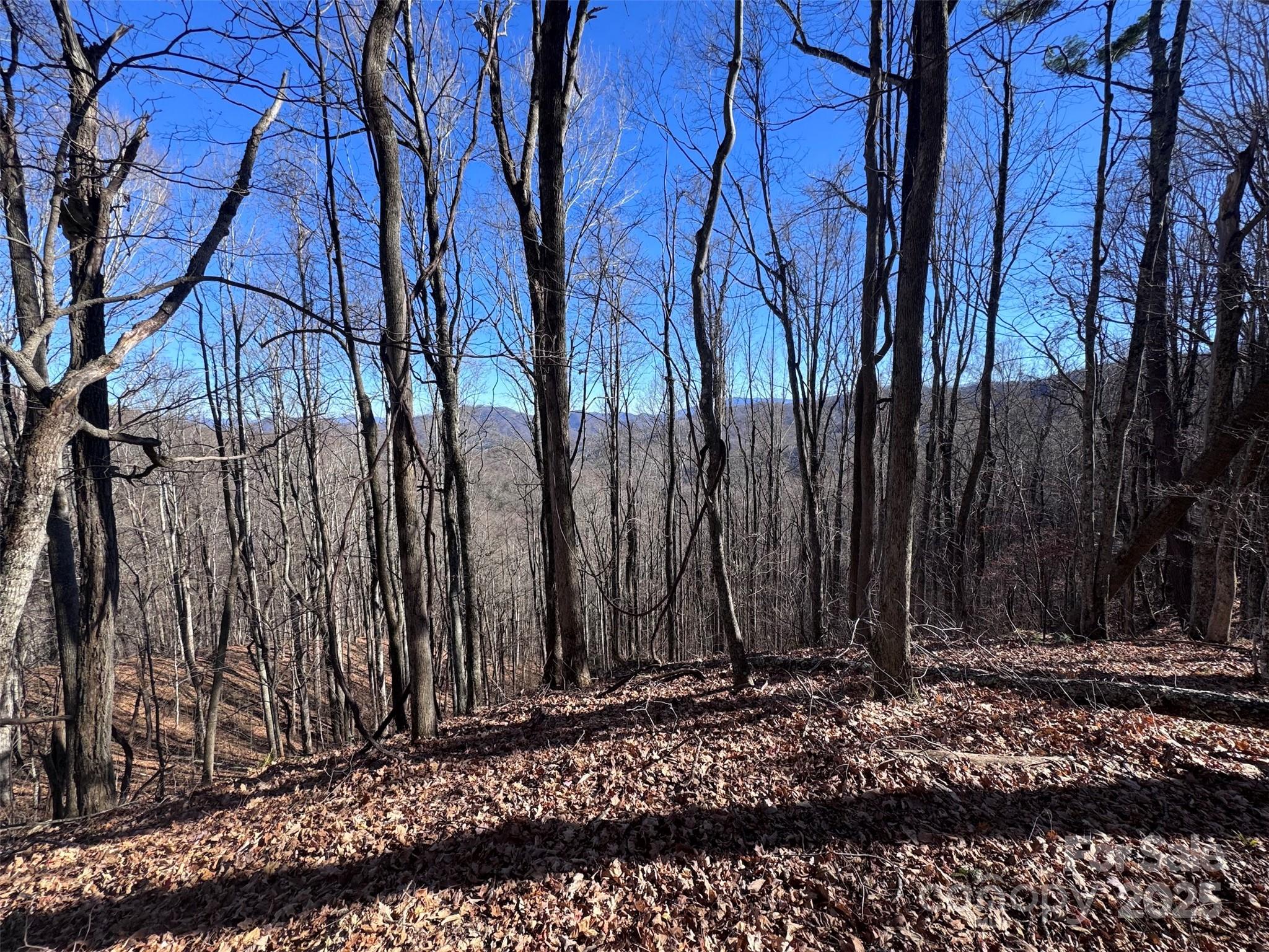 Acreage at 15 +/- Acres Riddle Branch Road, Burnsville, photo 37 of 38