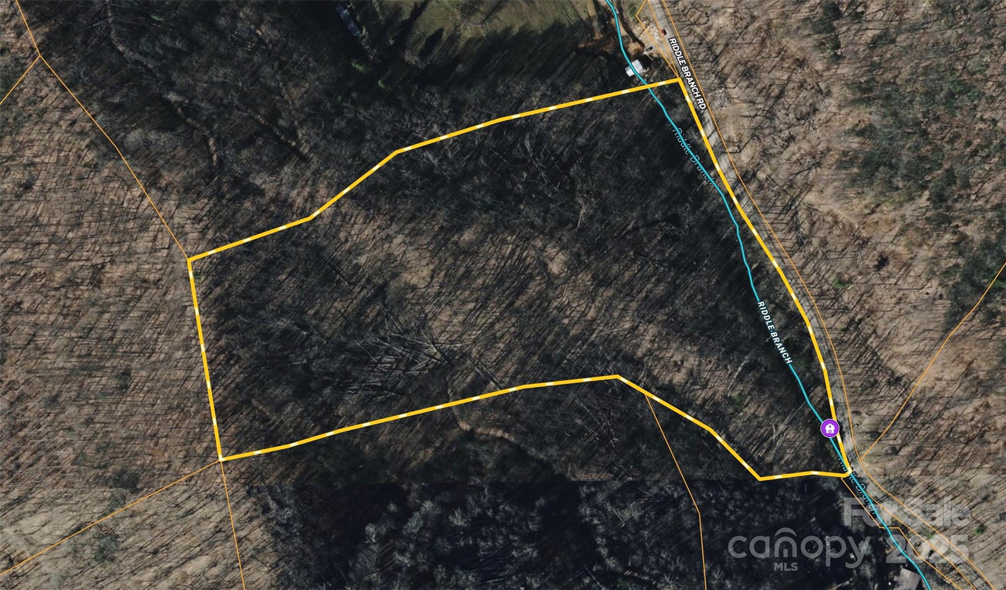 Acreage at 15 +/- Acres Riddle Branch Road, Burnsville, photo 14 of 38