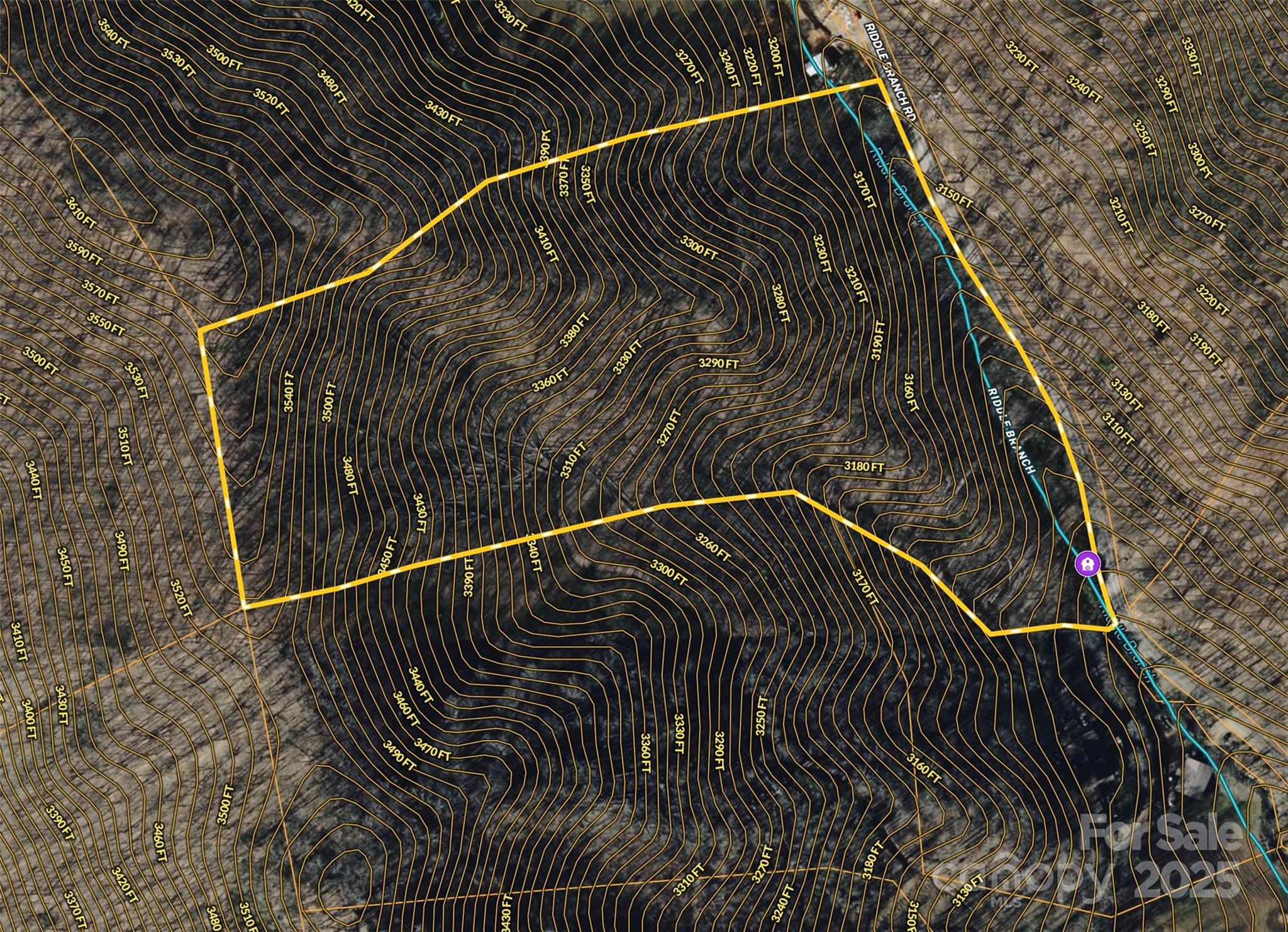 Acreage at 15 +/- Acres Riddle Branch Road, Burnsville, photo 15 of 38