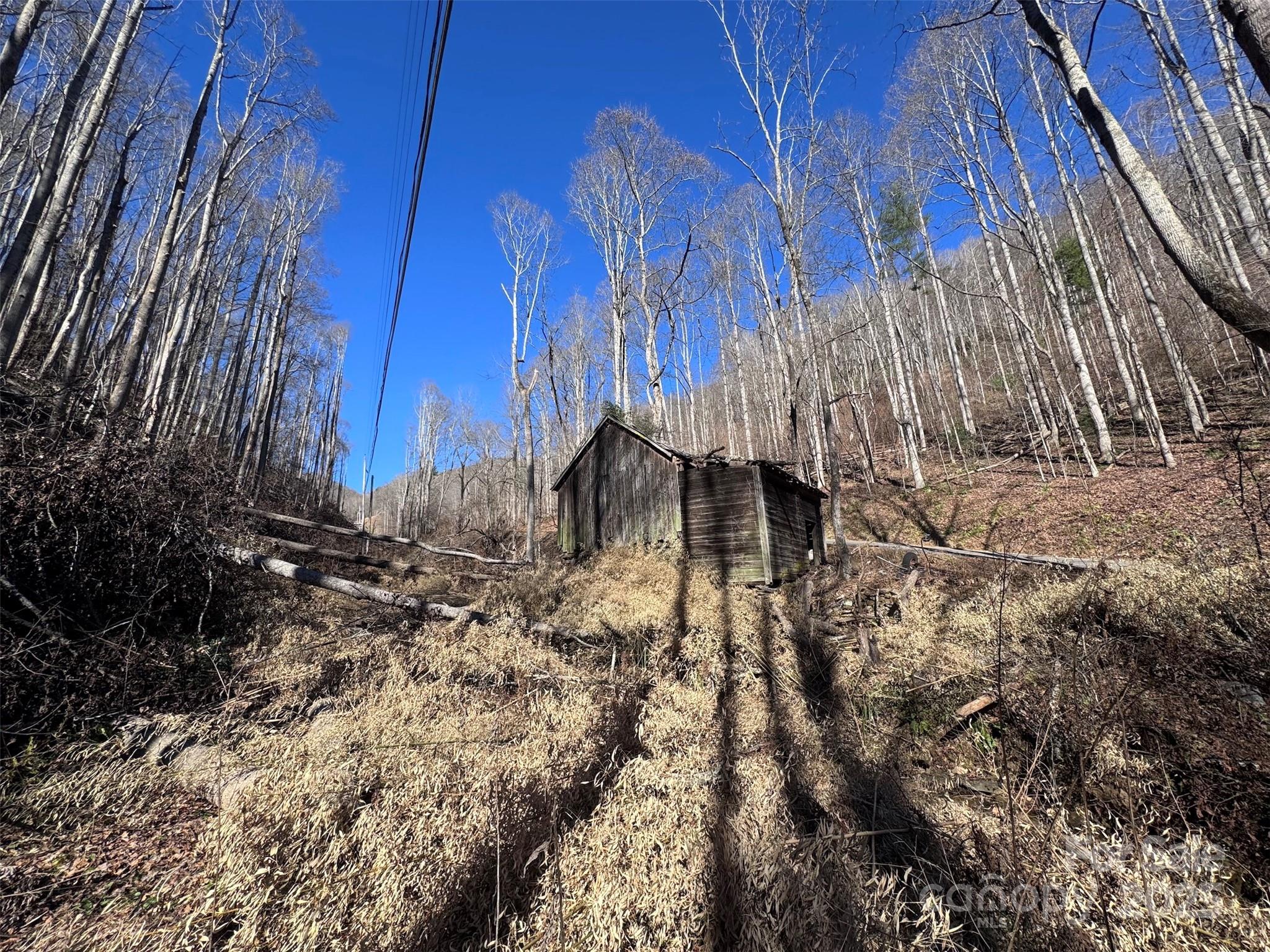 Acreage at 15 +/- Acres Riddle Branch Road, Burnsville, photo 18 of 38