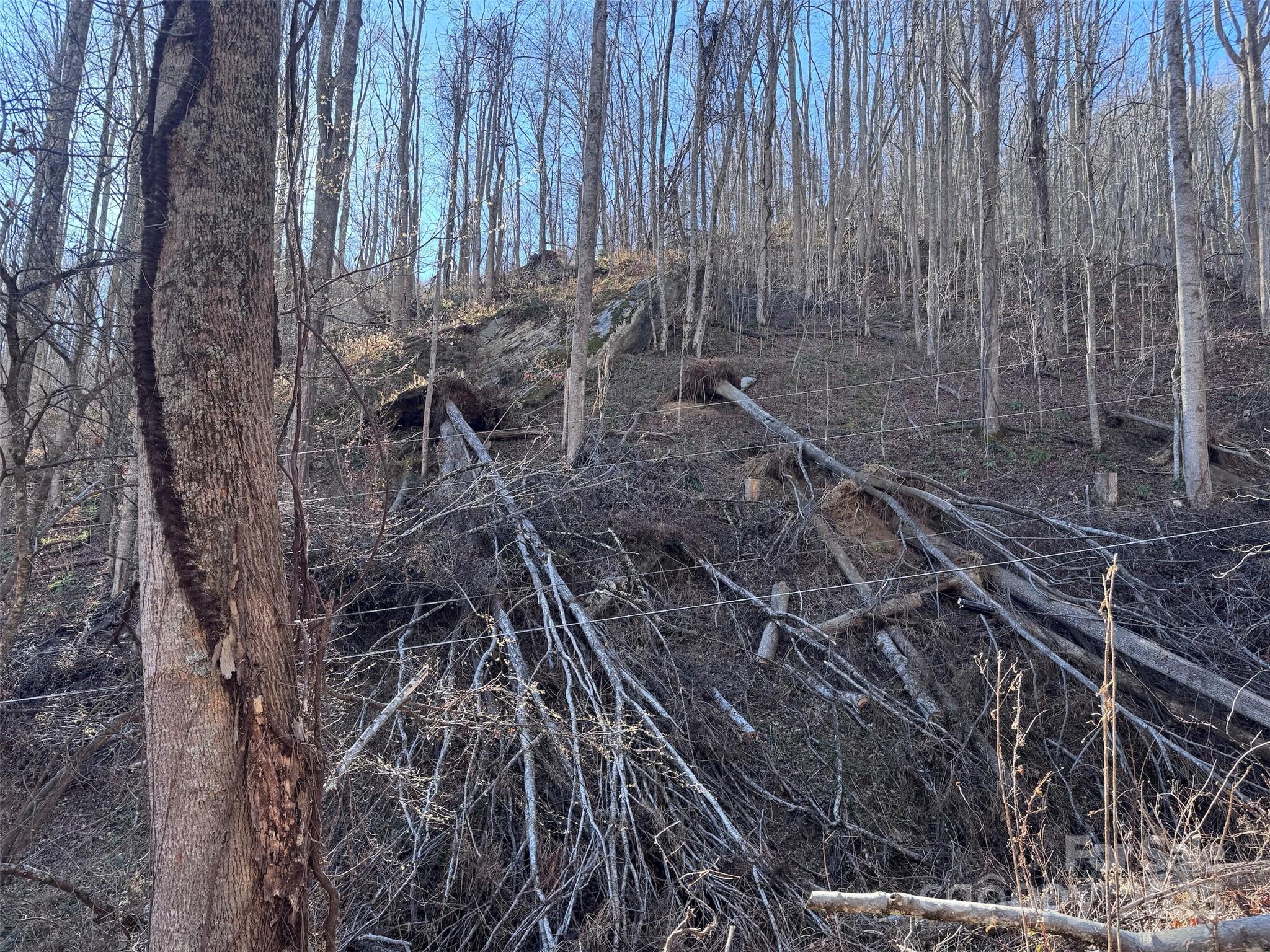 Acreage at 15 +/- Acres Riddle Branch Road, Burnsville, photo 22 of 38
