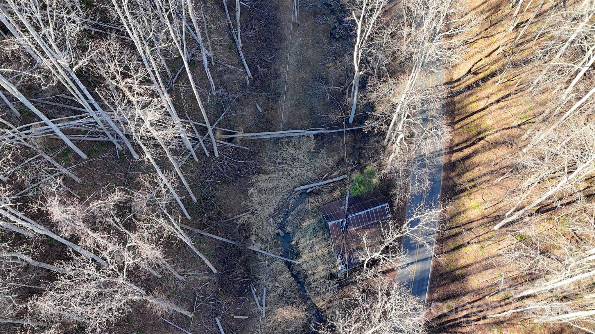 Acreage at 15 +/- Acres Riddle Branch Road, Burnsville, photo 23 of 38