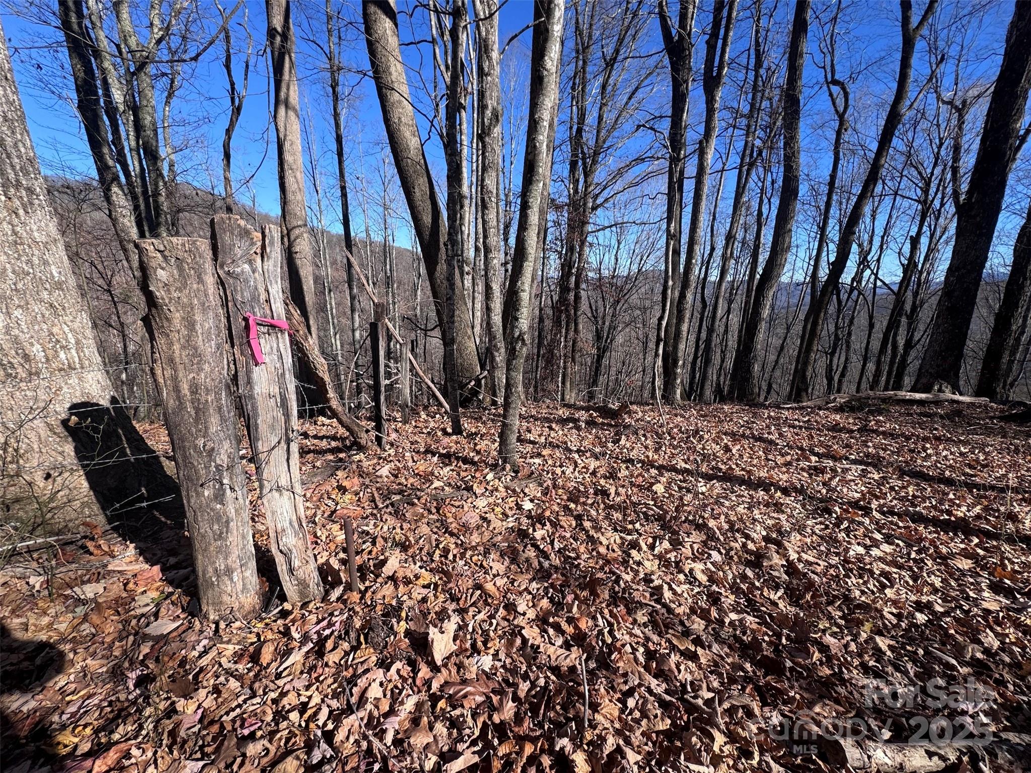 Acreage at 15 +/- Acres Riddle Branch Road, Burnsville, photo 24 of 38
