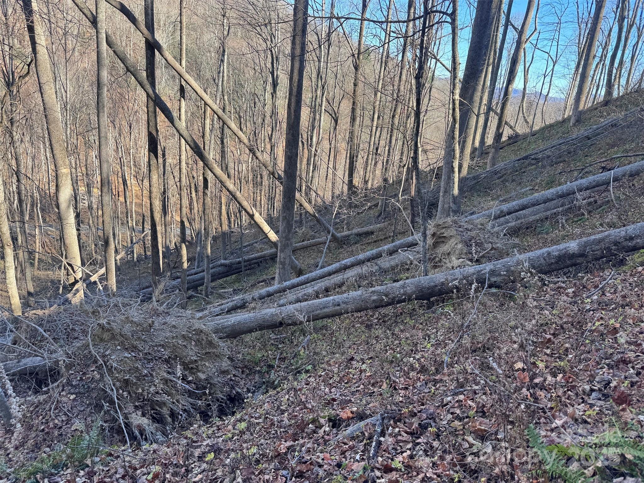 Acreage at 15 +/- Acres Riddle Branch Road, Burnsville, photo 27 of 38