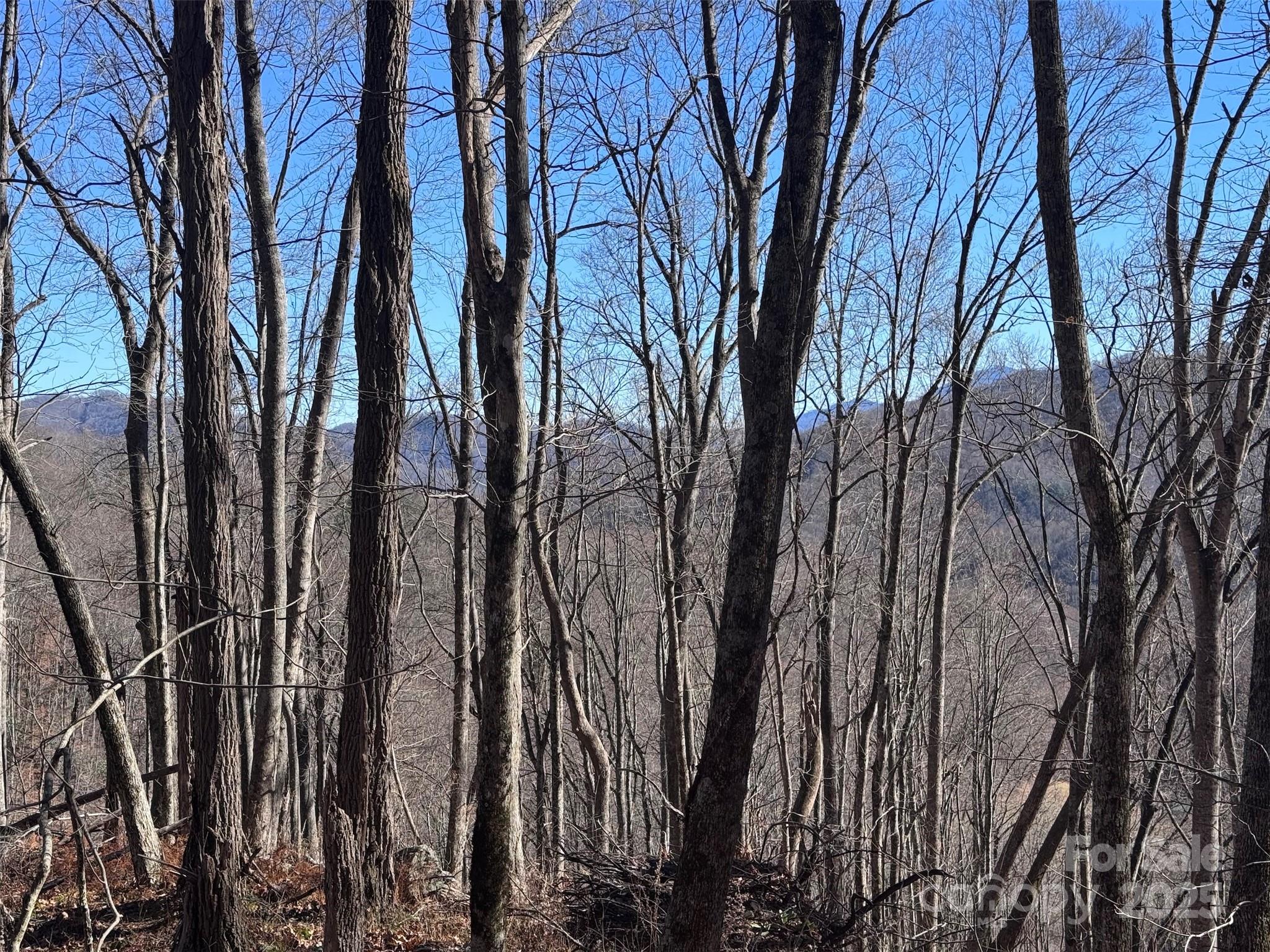 Acreage at 15 +/- Acres Riddle Branch Road, Burnsville, photo 28 of 38