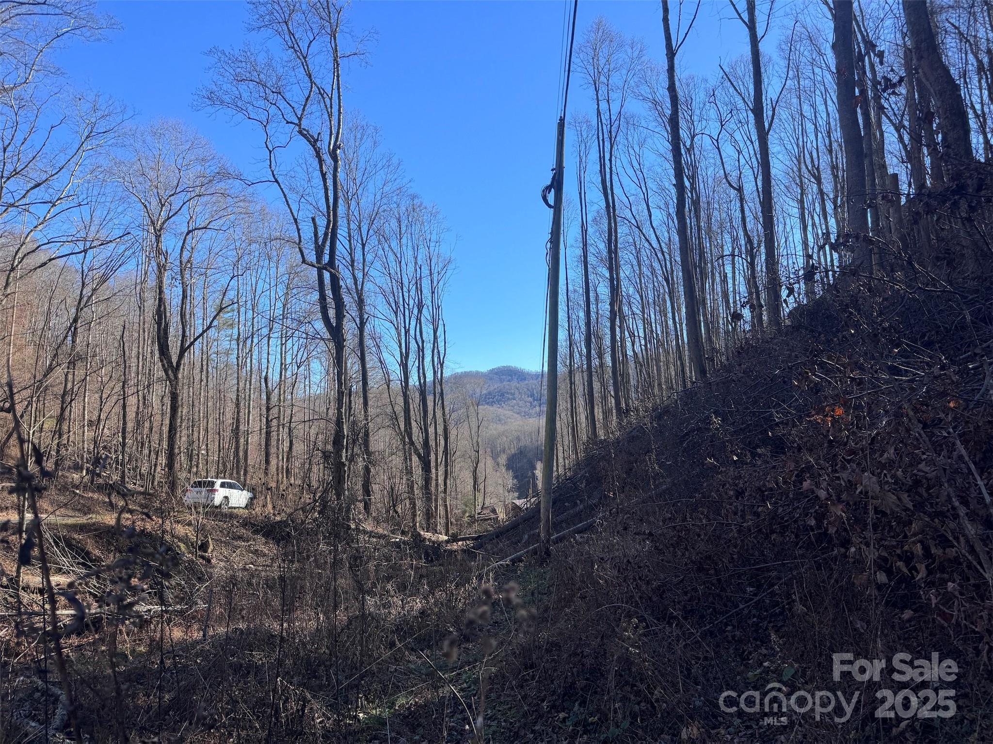 Acreage at 15 +/- Acres Riddle Branch Road, Burnsville, photo 29 of 38