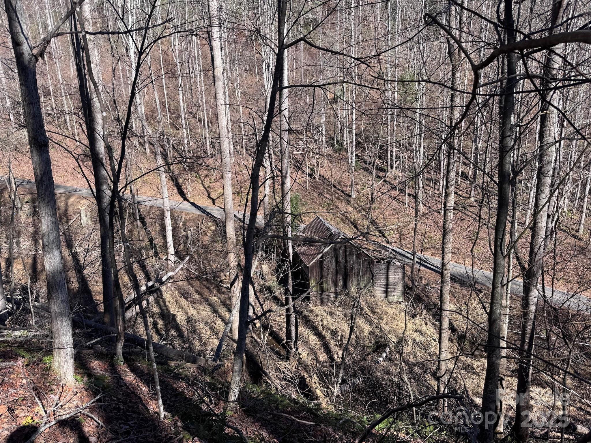 Acreage at 15 +/- Acres Riddle Branch Road, Burnsville, photo 30 of 38