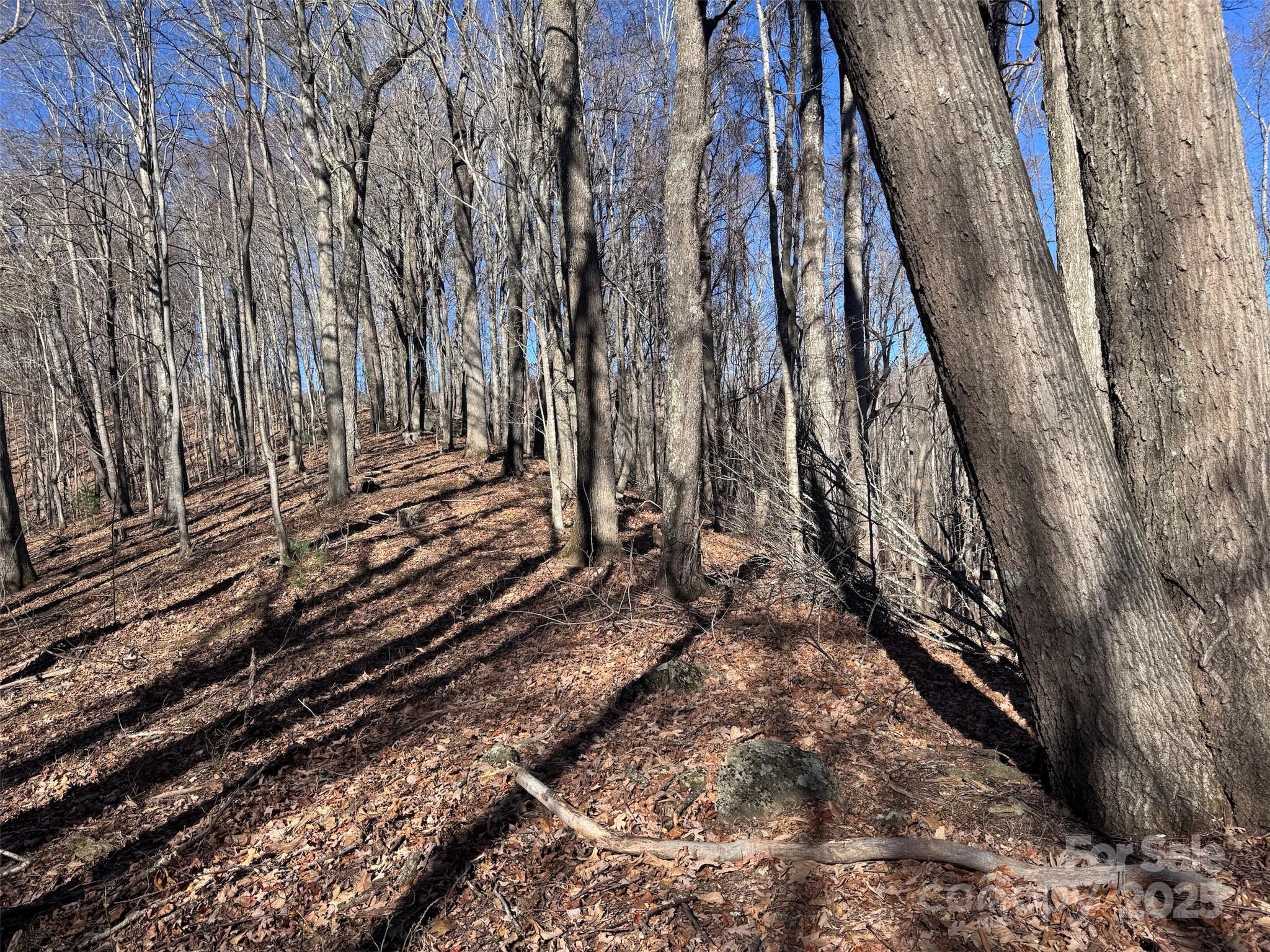 Acreage at 15 +/- Acres Riddle Branch Road, Burnsville, photo 32 of 38