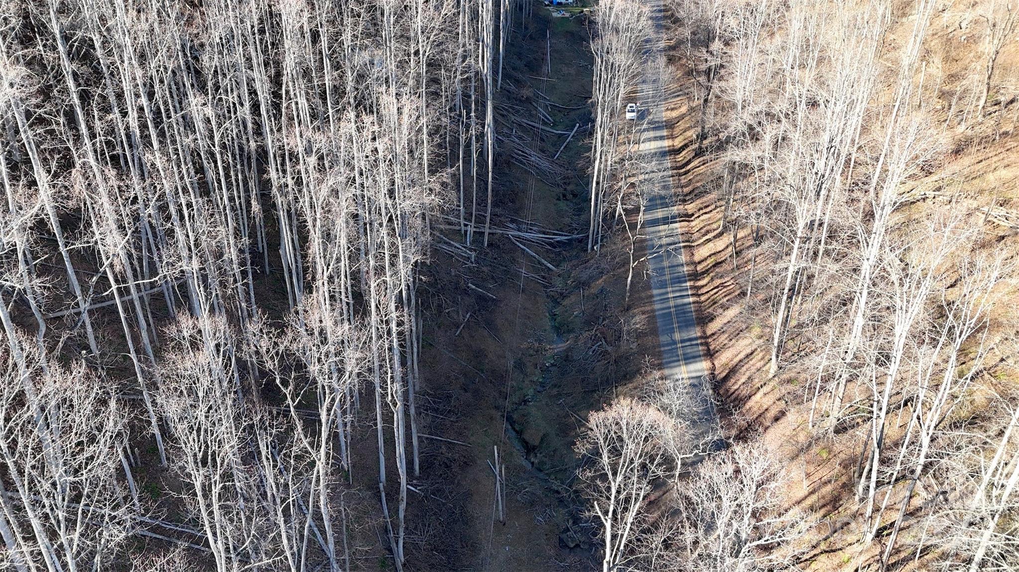 Acreage at 15 +/- Acres Riddle Branch Road, Burnsville, photo 34 of 38