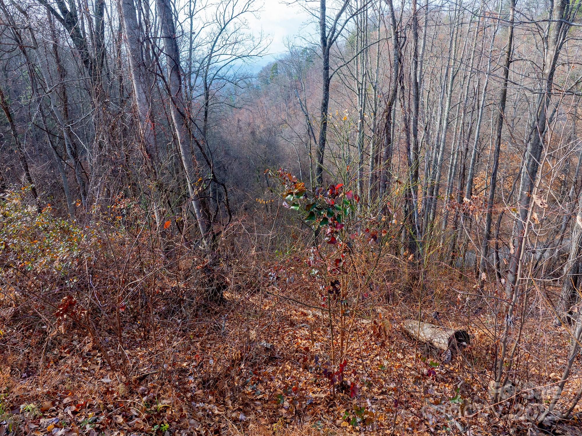 Lot at 00 Seven Glens Drive, Weaverville, photo 23 of 23