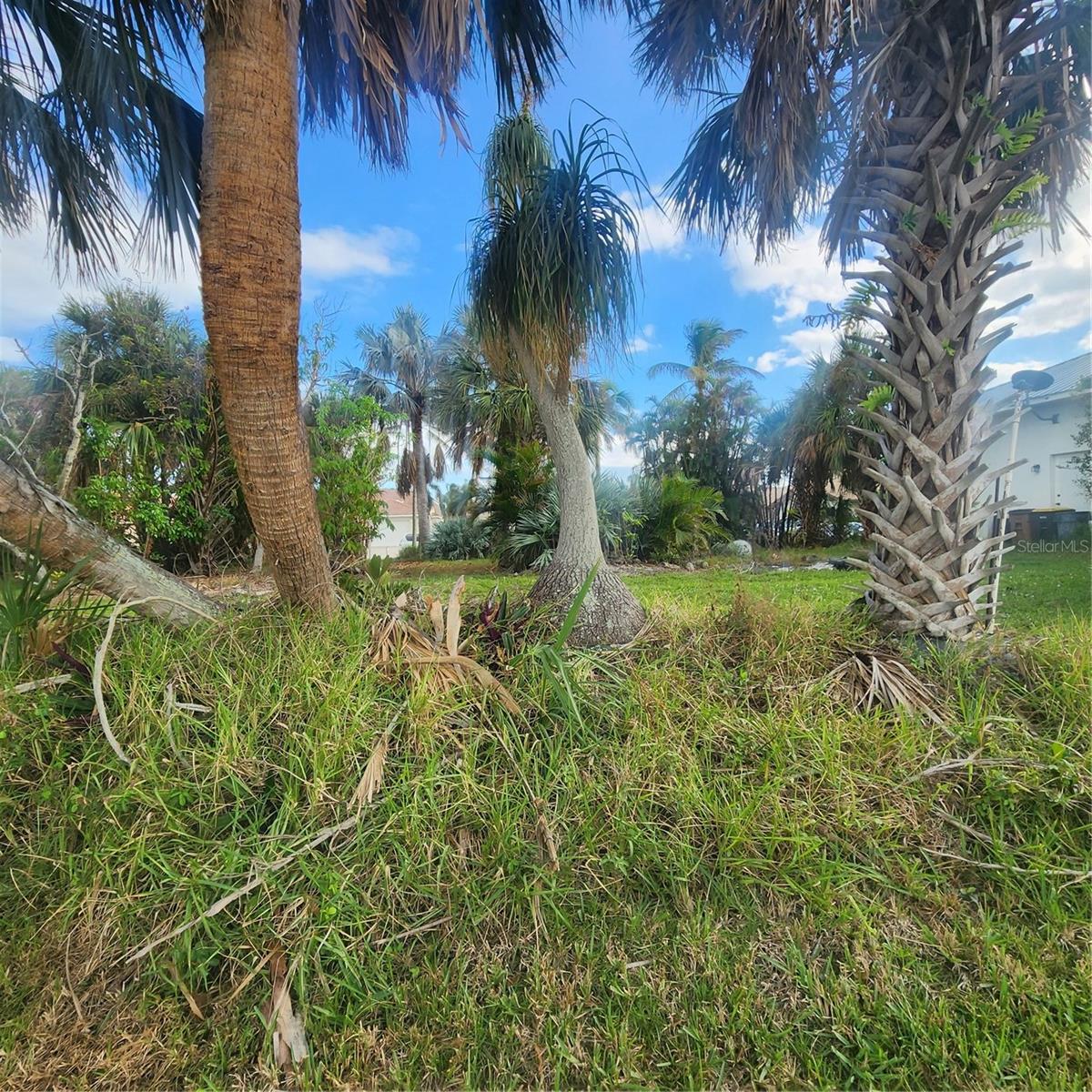 Land at 3907 MADRID CT, PUNTA GORDA, photo 8 of 9