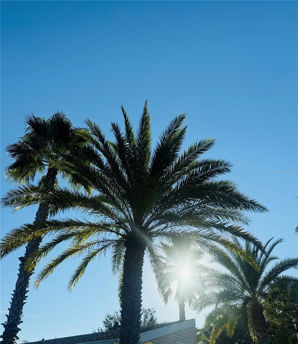 Enjoy sunny Florida in Regal Pointe! - 1144 DEER CREEK BLVD, DAVENPORT
