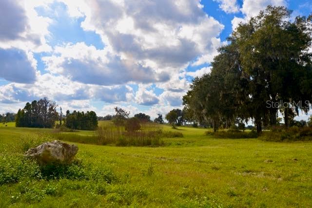 Land at 11750 SE 22ND AVE RD, OCALA, photo 2 of 5