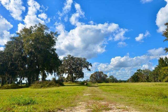 Land at 11750 SE 22ND AVE RD, OCALA, photo 3 of 5