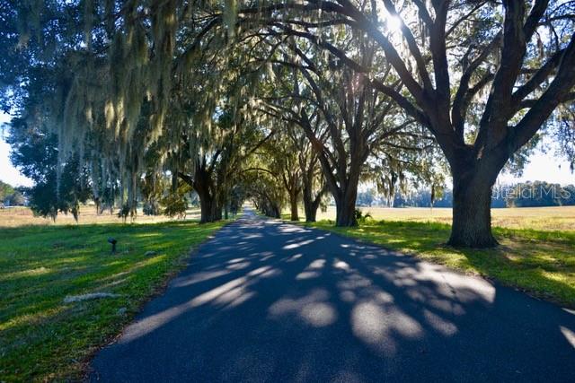 Land at 11750 SE 22ND AVE RD, OCALA, photo 5 of 5